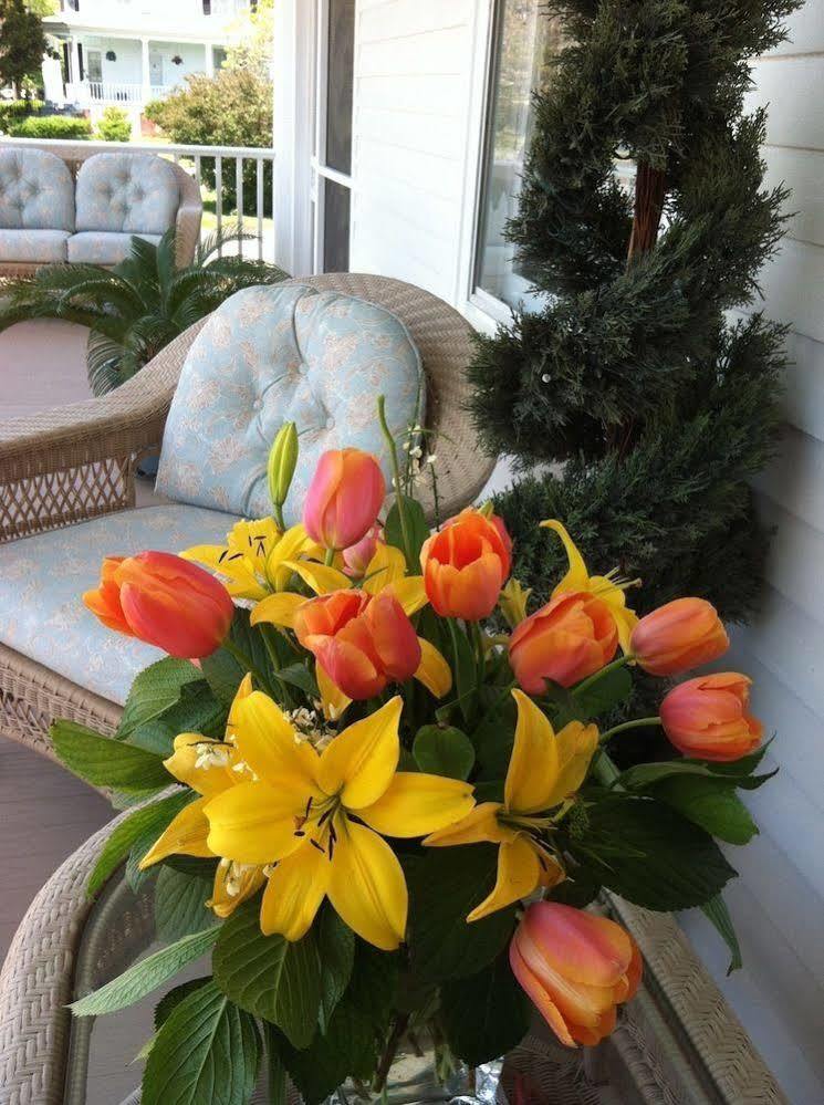Bay Haven Inn Of Cape Charles Exterior photo